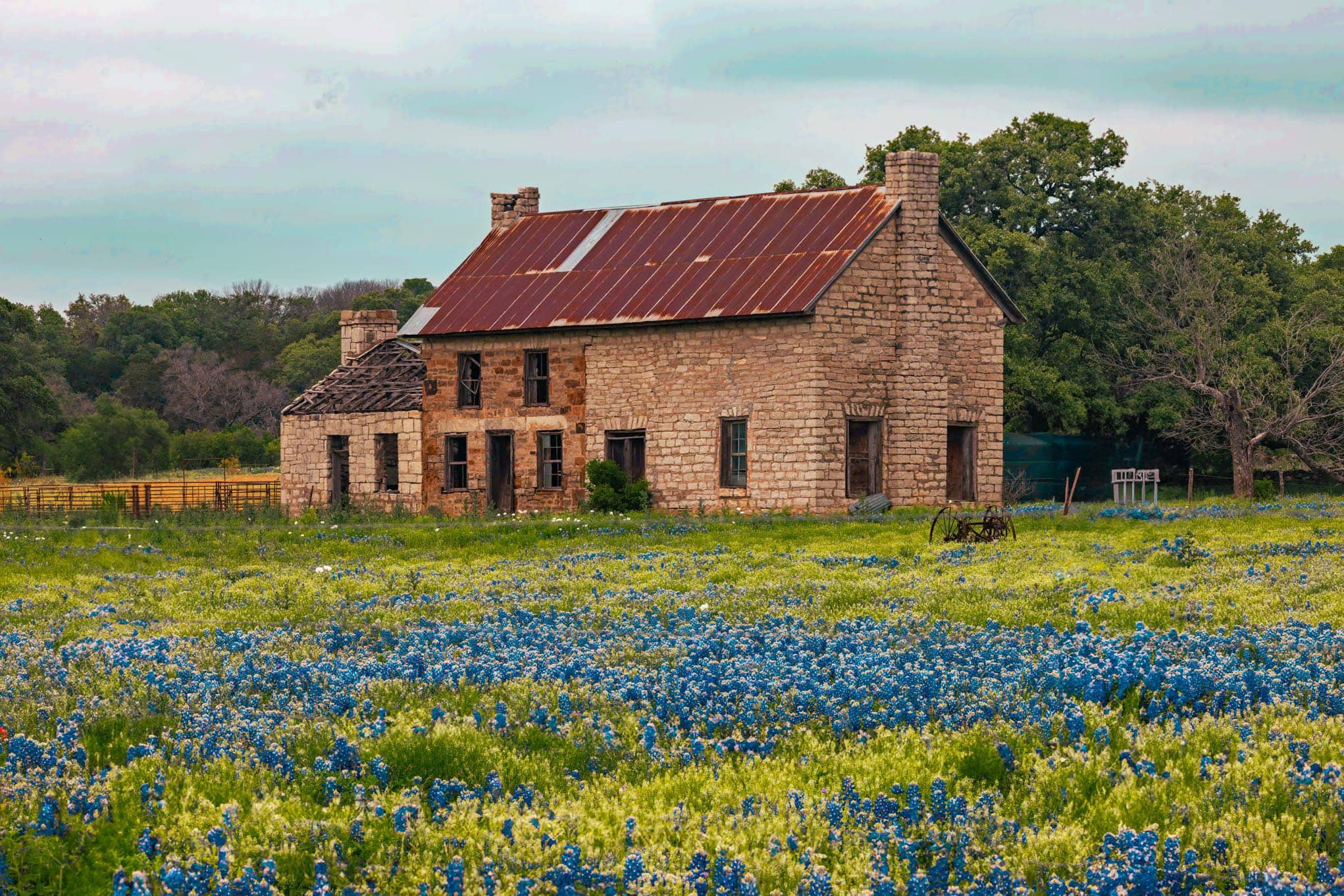 Ranking for near me searches in Central Texas