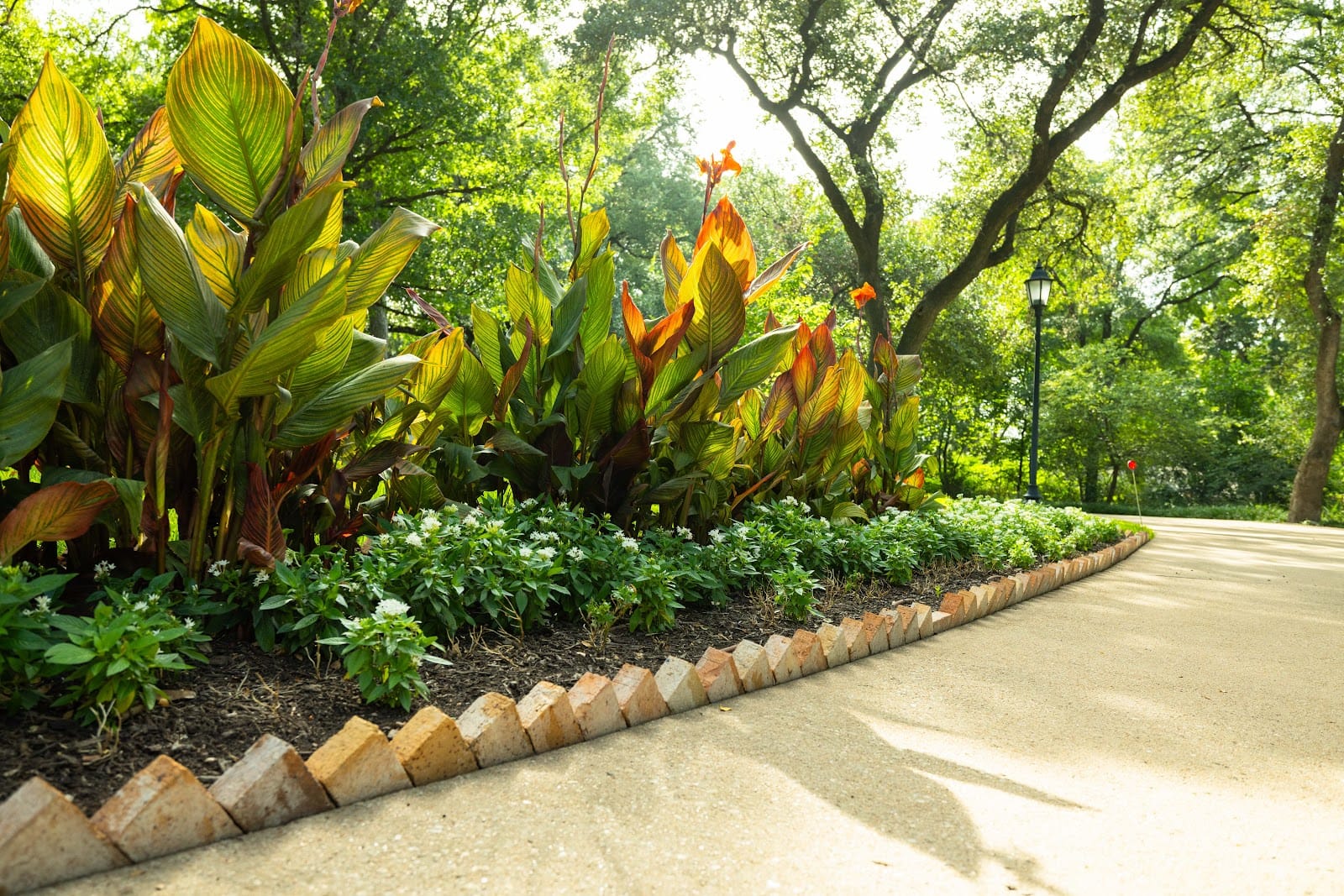 Landscape design by Grass Works Lawn Care, the Austin client we helped recover from AI Overviews